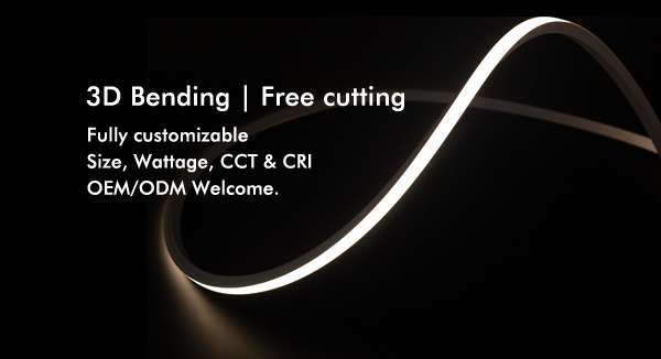 LED Neon Flex Series